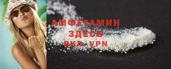 индика Елабуга