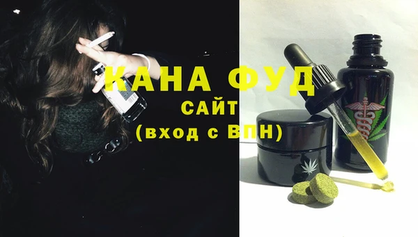 индика Елабуга