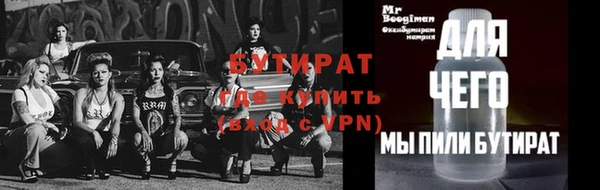 индика Елабуга