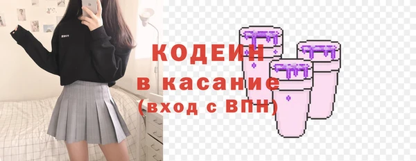 индика Елабуга