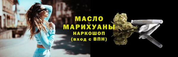 индика Елабуга