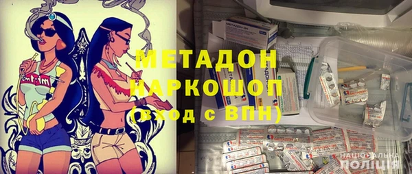 индика Елабуга