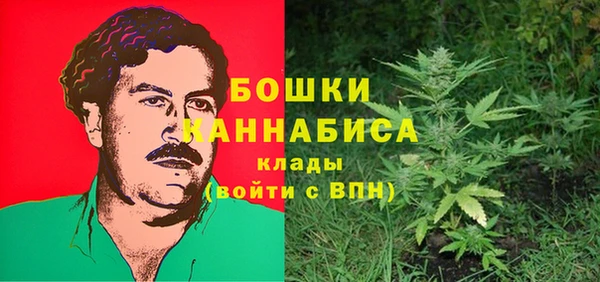 индика Елабуга