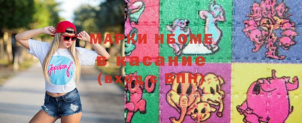 индика Елабуга