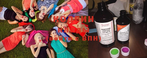индика Елабуга