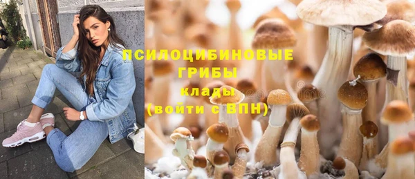 кокаин Ельня