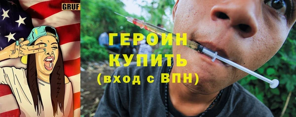 индика Елабуга
