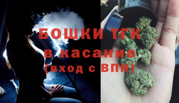 индика Елабуга
