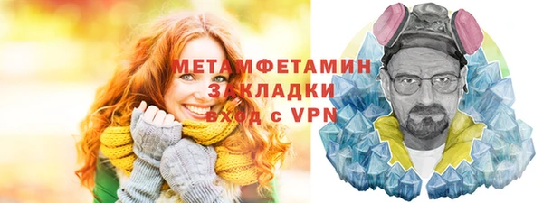 индика Елабуга