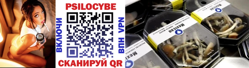 Псилоцибиновые грибы Psilocybe Видное