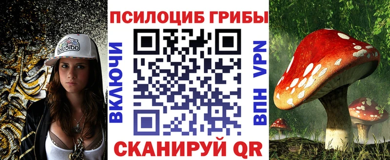Галлюциногенные грибы GOLDEN TEACHER  Купить  Видное 